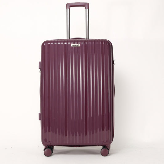 Sanzheng Hard-Case Luggage Z05