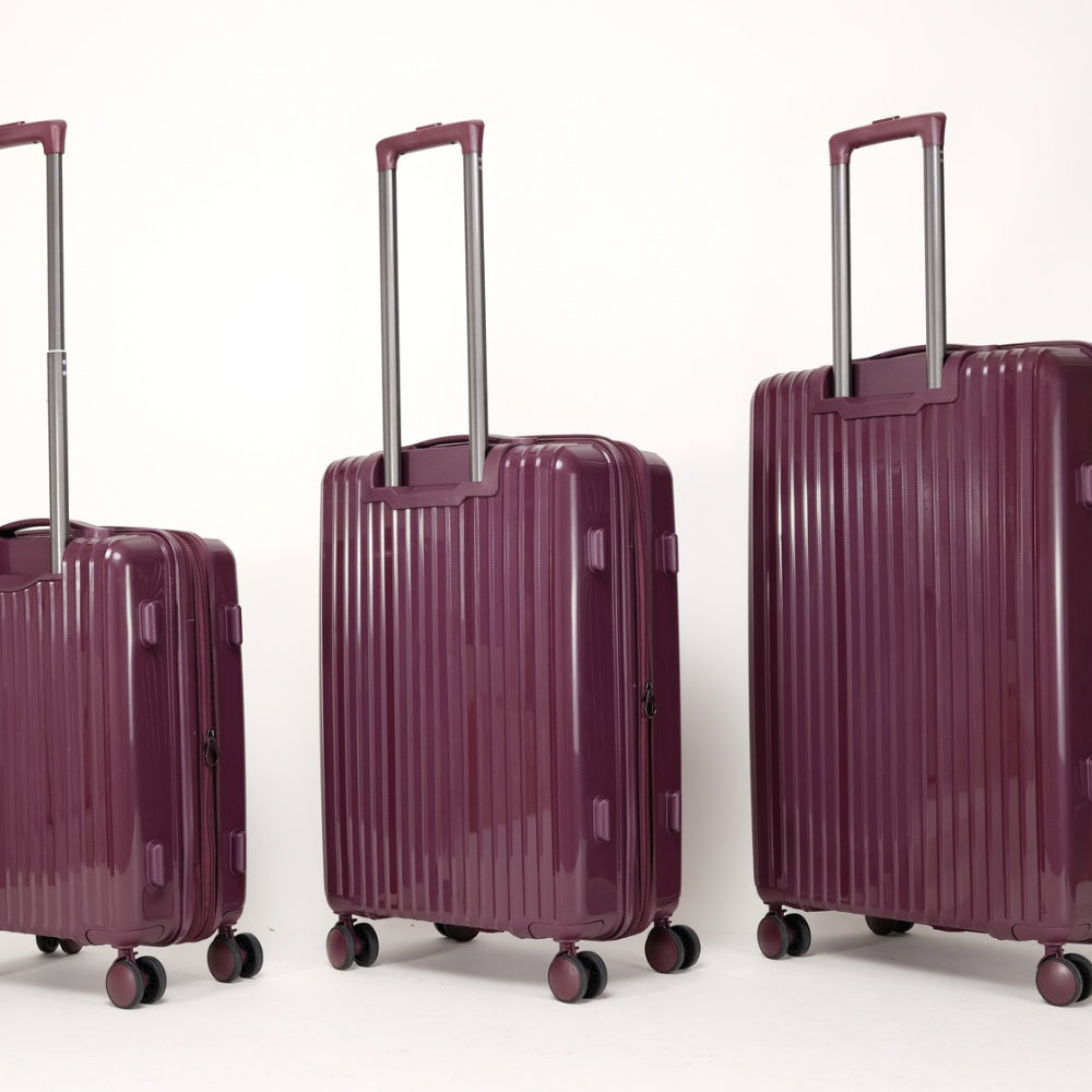 Sanzheng Hard-Case Luggage Z05