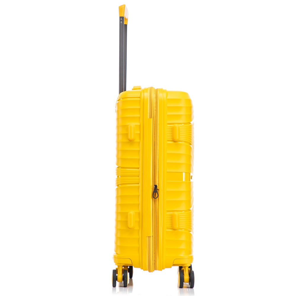 Sanzheng PPP Luggage Z04