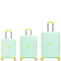 Sanzheng PPP Luggage Z06