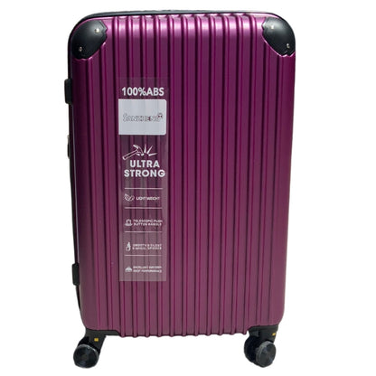 Sanzheng ABS Luggage 012-4