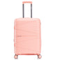 Sanzheng PPP Luggage Z04